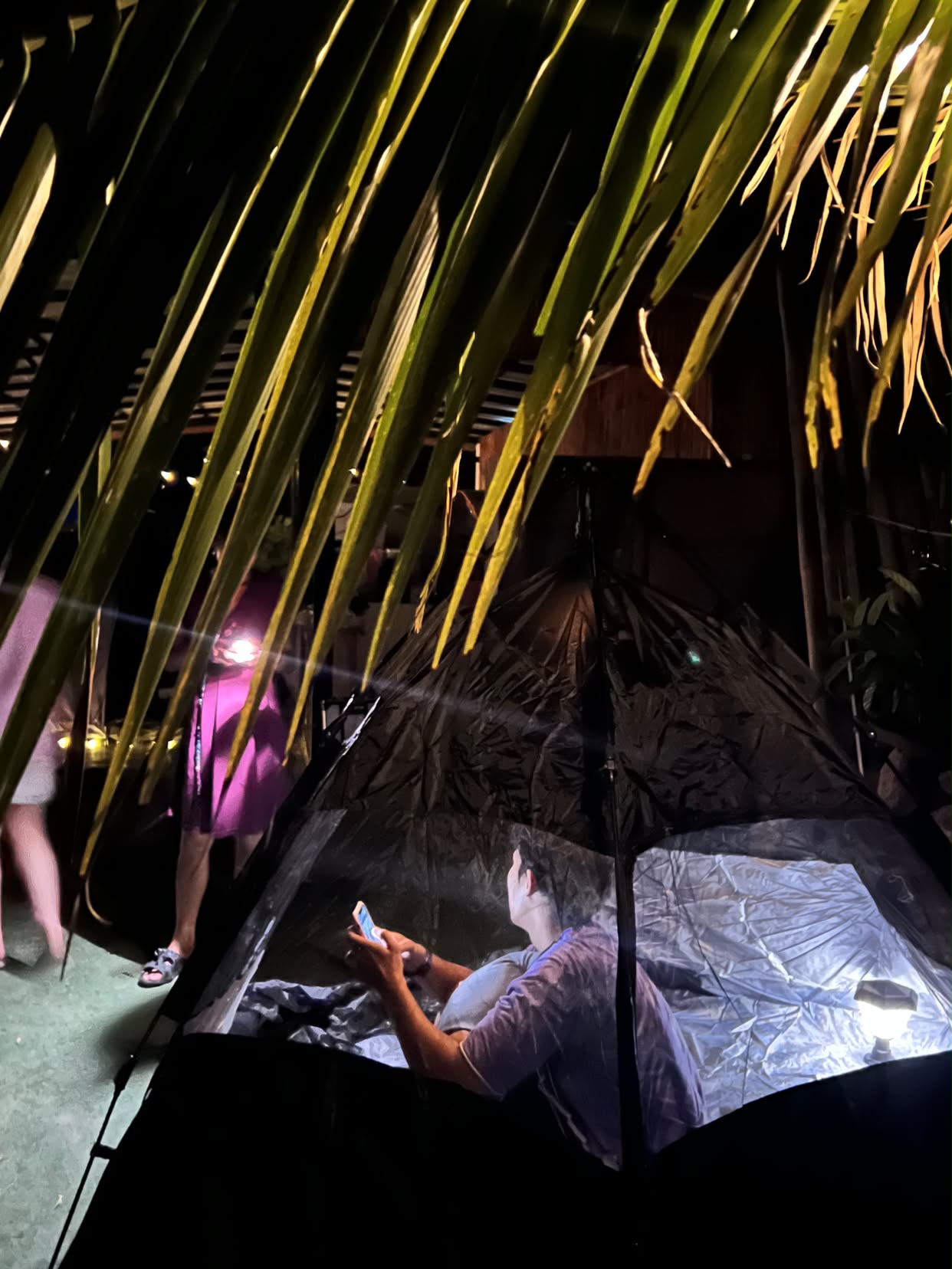 A luxury pod glowing under the palms at Hin Wong Peak