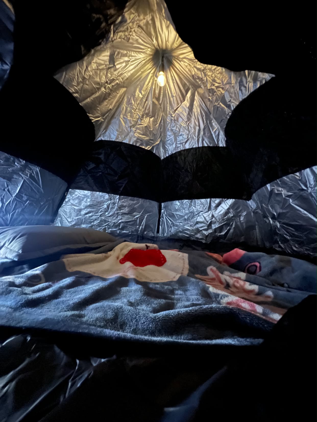 Inside a pod — a single hanging bulb under the silver canopy